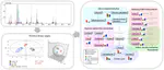 Targeted toxico-metabolomics of endosulfan sulfate in adult zebrafish (Danio rerio) using GC-MS/MS in multiple reaction monitoring mode