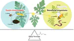 Development of Ethyl Formate Disinfestation Treatment Methods for the Prevention of the Introduction and Establishment of Exotic Insect Pests in Greenhouse Cultivation