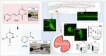 Developmental toxicity of a pymetrozine photo-metabolite, 3-pyridinecarboxaldehyde, in zebrafish (Danio rerio) embryos: Abnormal cardiac development and occurrence of heart dysfunction via differential expression of heart formation-related genes