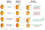 Effective phytosanitary treatment for export of Oriental melons (Cucumis melo var L.) using ethyl formate and modified atmosphere packaging to control Trialeurodes vaporariorum (Hemiptera: Aleyrodidae)