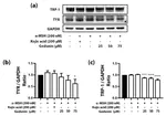 Molecular Mechanisms of Anti-Melanogenic Gedunin Derived from Neem Tree (Azadirachta indica) Using B16F10 Mouse Melanoma Cells and Early-Stage Zebrafish