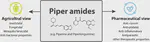 Naturally occurring Piper plant amides potential in agricultural and pharmaceutical industries: perspectives of piperine and piperlongumine